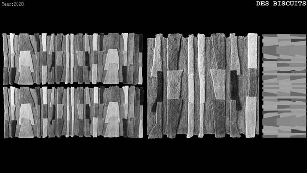 Carpets by Despot